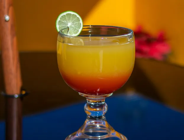 Hotel Los Arcos hotel detail image 2