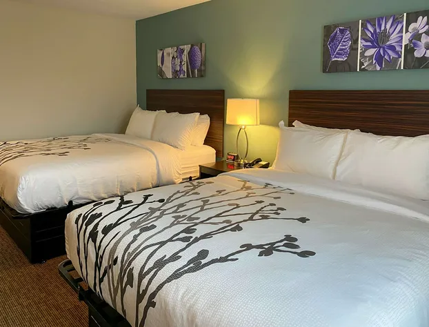 Sleep Inn & Suites - Coliseum Area hotel detail image 4