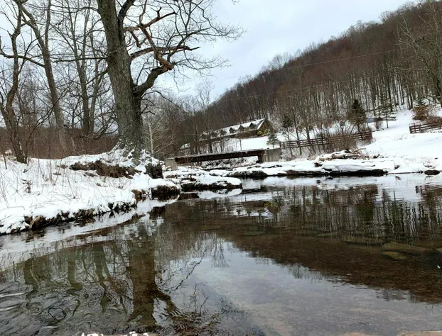 Morning Glory Inn hotel detail image 3