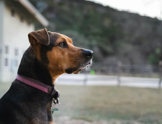 Seven Bluff Cabins hotel detail image 1