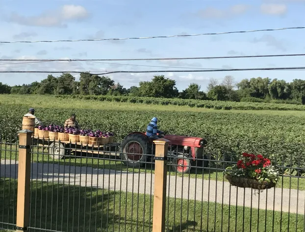 Dicksons Family Suite B&B hotel detail image 3