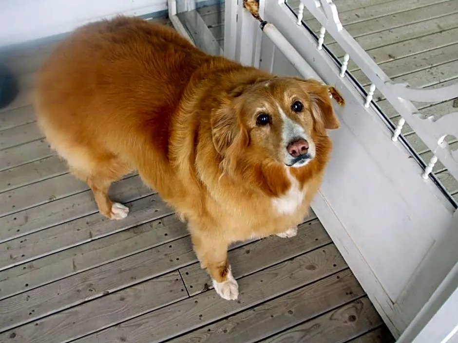 The Inn at St. Peters hotel hero