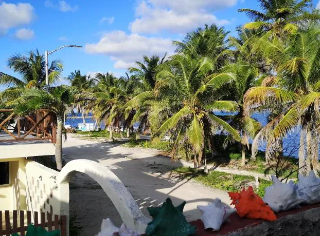 Xcalak caribe Lodge hotel detail image 2