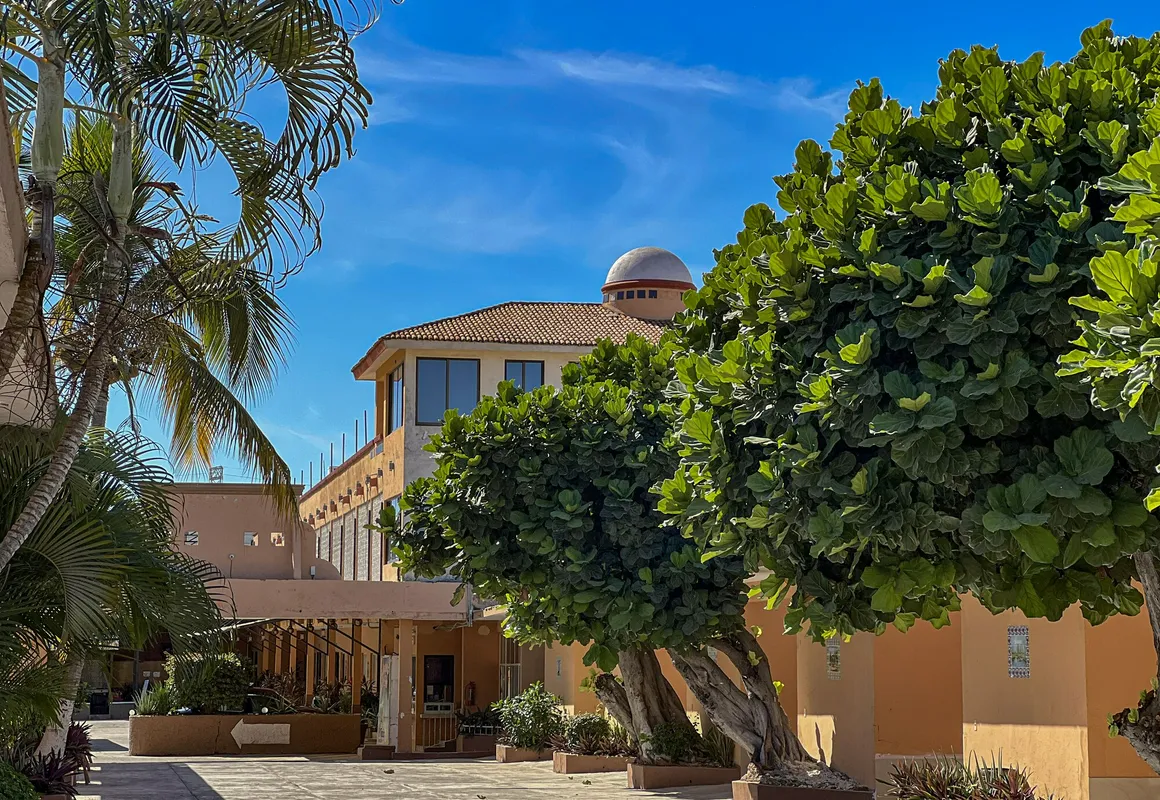 Hotel Oasis hotel hero