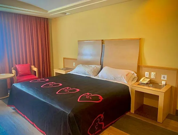 Hot Plaza del Rey | Love Hotel | Solo Adultos hotel detail image 1