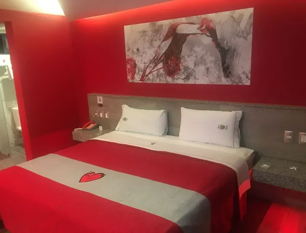 Hotel Nayarit - Solo Adultos hotel detail image 4