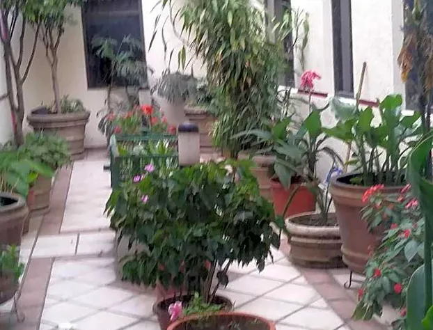 Hotel Ambar hotel detail image 2