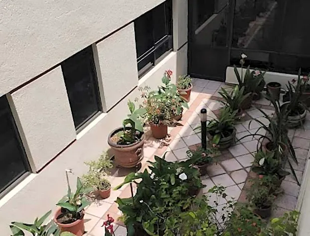 Hotel Ambar hotel detail image 3