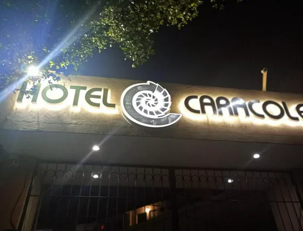 Hotel Caracoles Colima hotel detail image 2