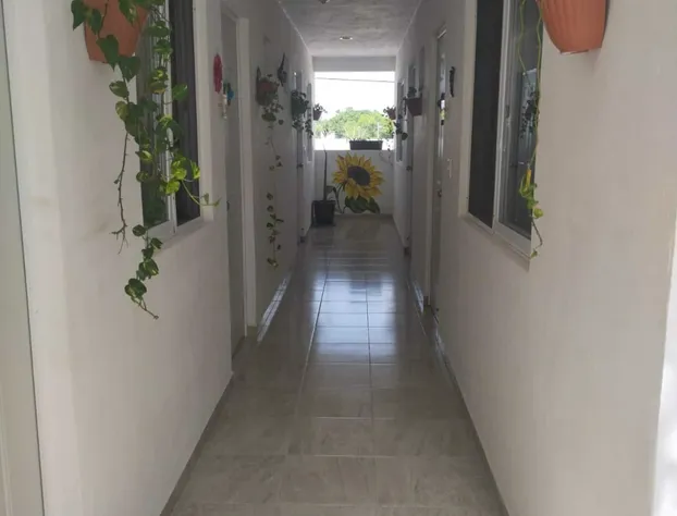 Hotel Las Palmas Puerto Morelos hotel detail image 3