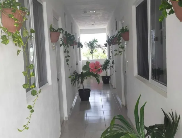 Hotel Las Palmas Puerto Morelos hotel detail image 4