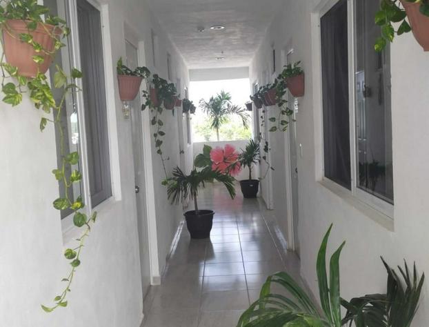Hotel Las Palmas Puerto Morelos hotel detail image 4