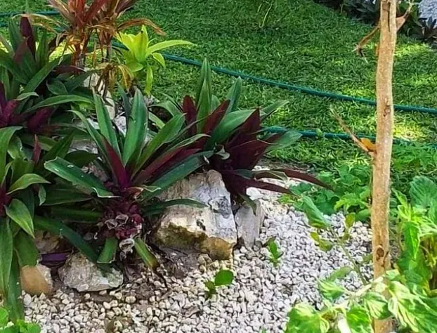 Hotel Chuburna hotel detail image 1