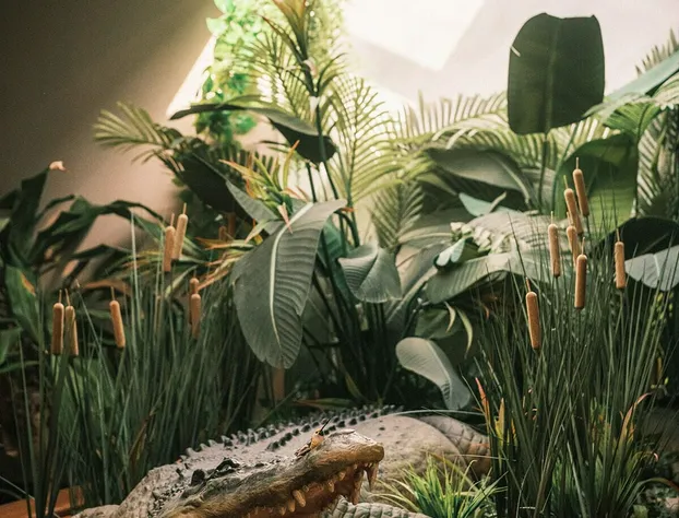 Hotel Crocodile & Crocodile Music Venue hotel detail image 1