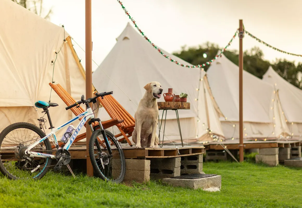 Glamping Octli hotel hero