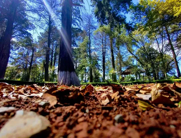 Hacienda Venta de Guadalupe hotel detail image 2