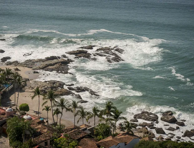 Maxwell Residences at Orchid hotel detail image 1