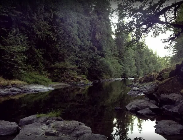 Trout Creek Wilderness Lodge hotel detail image 2