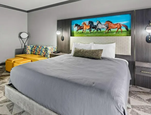 Big Country Hotel & Suites, SureStay Collection by BW hotel detail image 1