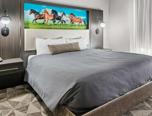 Big Country Hotel & Suites, SureStay Collection by BW hotel detail image 4