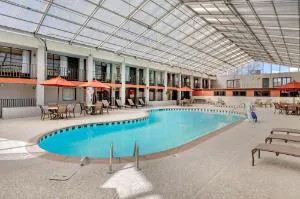 VetteCity Hotel hotel detail image 2