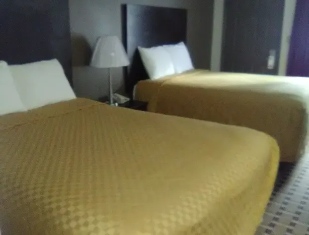 Ameriview Inn And Suites hotel detail image 3