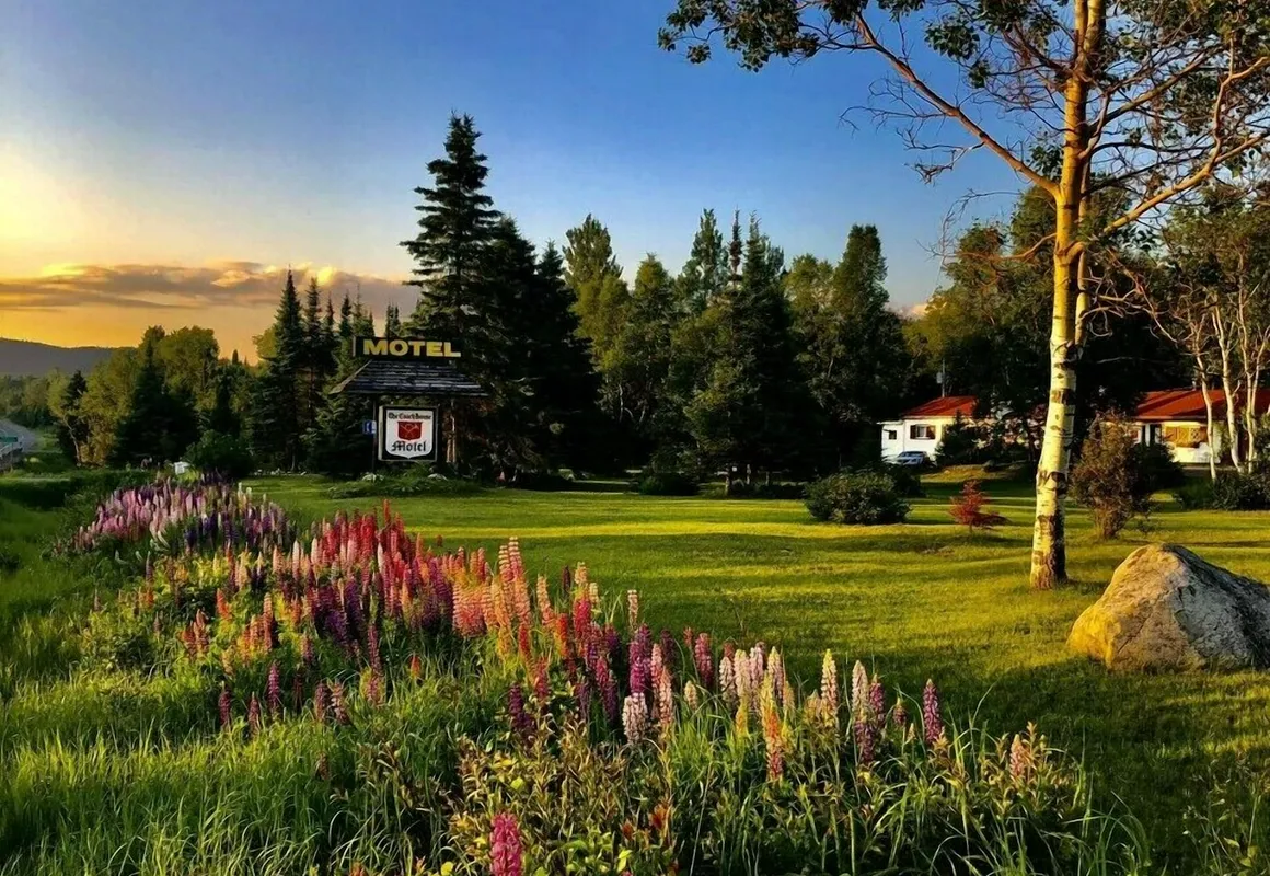 Coach House Motel 20 km East Terrace Bay hotel hero