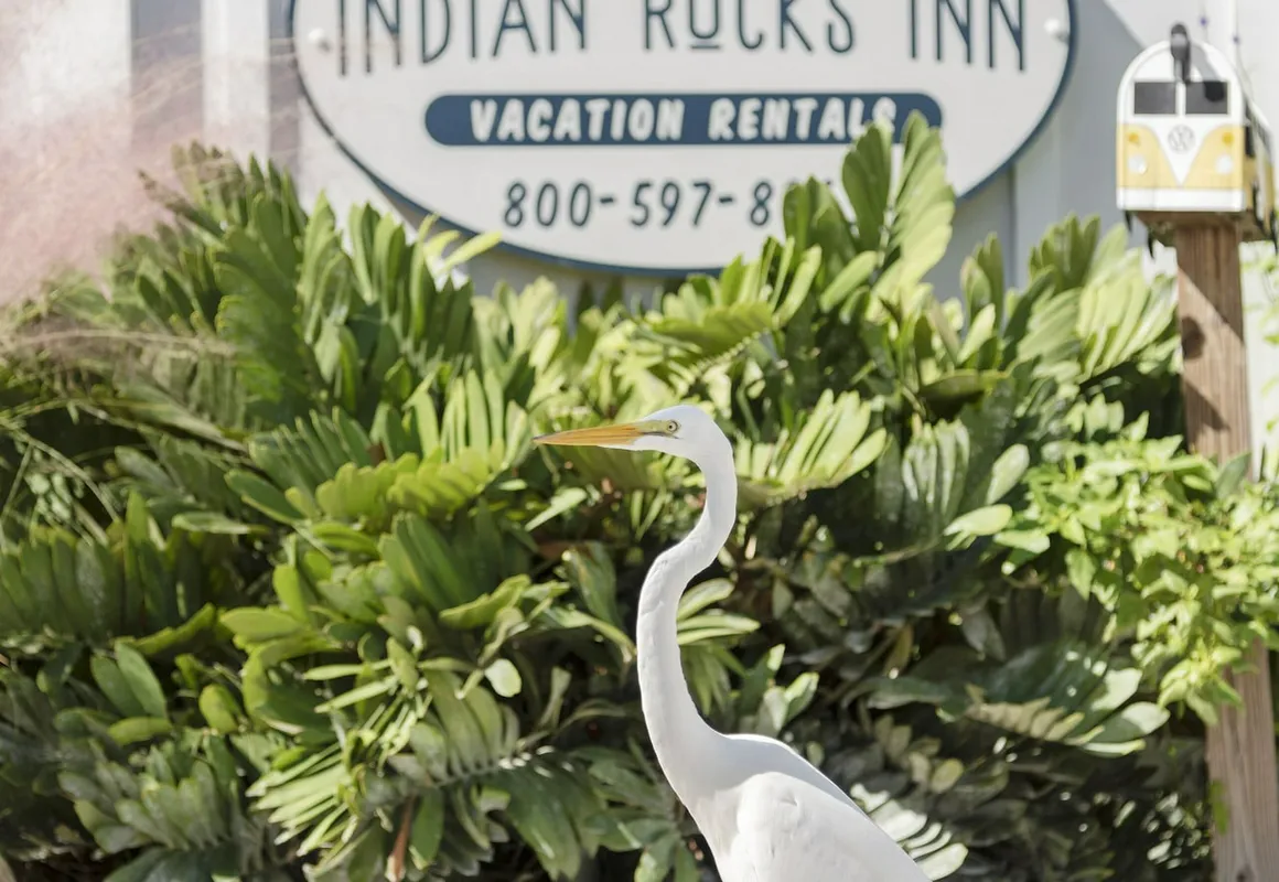 Gulfside Resorts & Indian Rocks Inn hotel hero