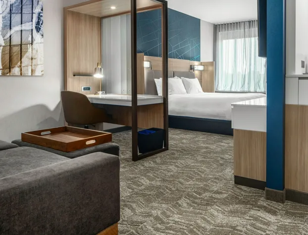 SpringHill Suites Charlotte Airport Lake Pointe hotel detail image 4