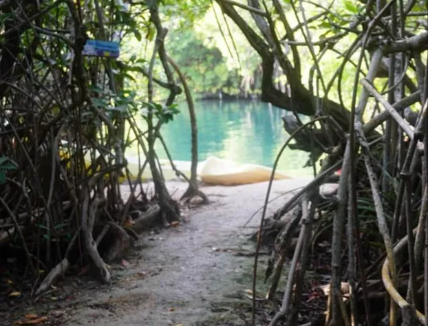 Yaxchen Tulum Cabañas & Cenote hotel detail image 2