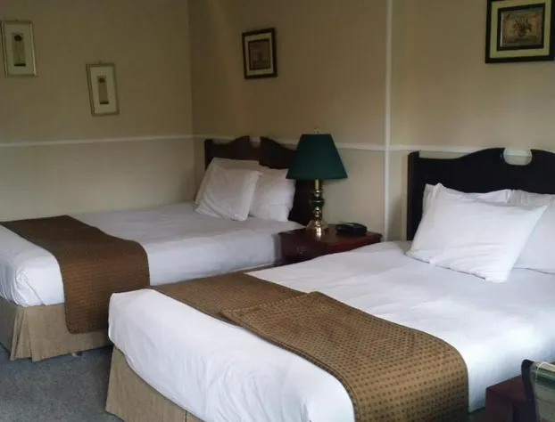 Apple Tree Inn hotel detail image 4