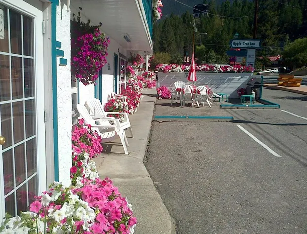 Apple Tree Inn hotel detail image 1