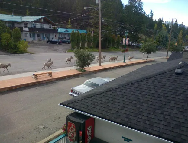 Apple Tree Inn hotel detail image 4