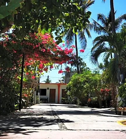 Hotel Oasis Melaque hotel detail image 1