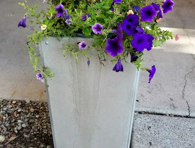 Country Inn & Suites by Radisson, Auburn, IN hotel detail image 1