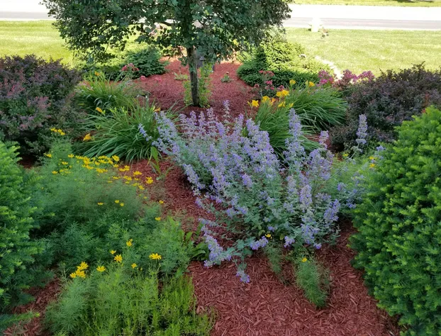 Country Inn & Suites by Radisson, Auburn, IN hotel detail image 2