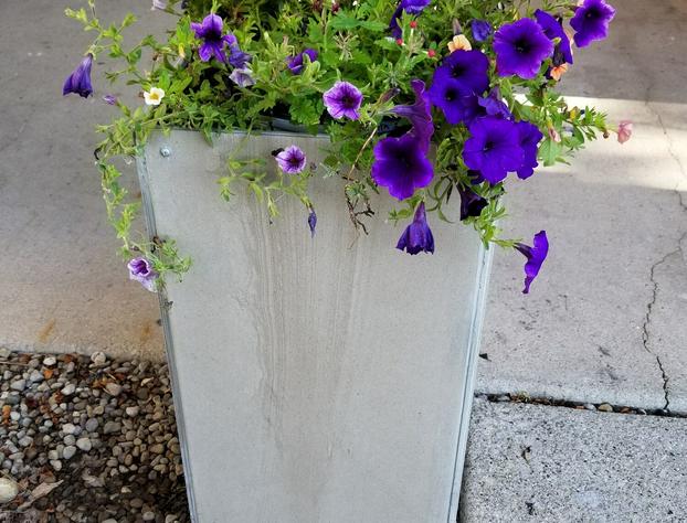 Country Inn & Suites by Radisson Auburn IN hotel detail image 1
