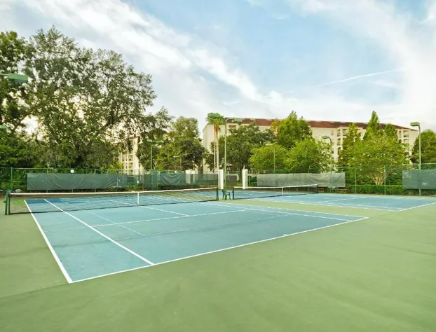 Club Wyndham Star Island hotel detail image 3