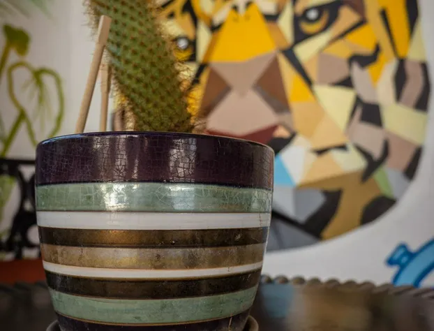 Casa Balam hotel detail image 1