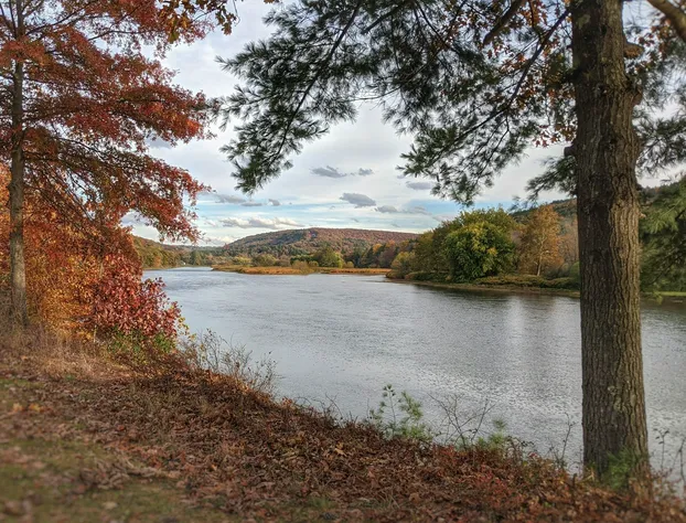 Nine River Road hotel detail image 4