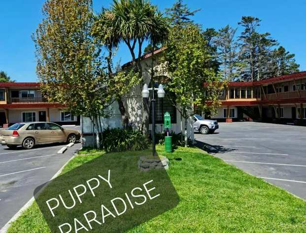 North Coast Inn hotel detail image 1