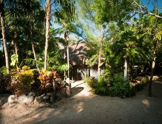 Yoga Shala - Adults Only hotel detail image 1