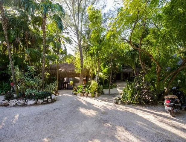 Yoga Shala - Adults Only hotel detail image 2