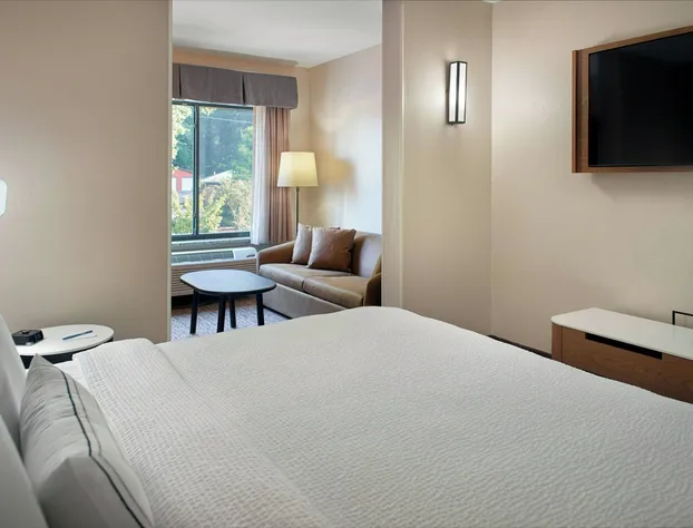 Fairfield Inn & Suites by Marriott Asheville Airport/Fletcher hotel detail image 4