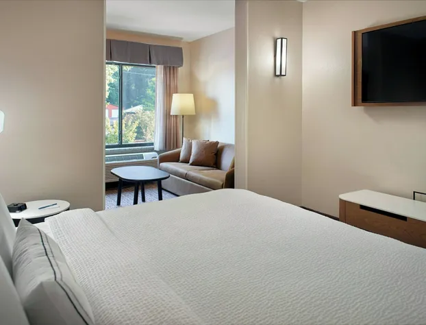 Fairfield Inn & Suites by Marriott Asheville Airport/Fletcher hotel detail image 4