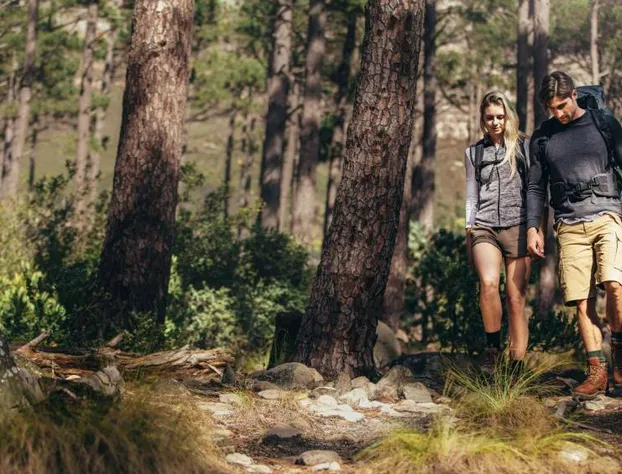 Royal Inn Rockville IN by Hotel O hotel detail image 4