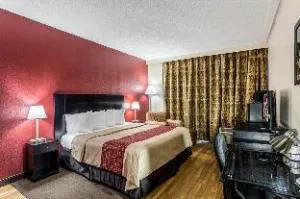 Tropical Palms Hotel hotel detail image 2