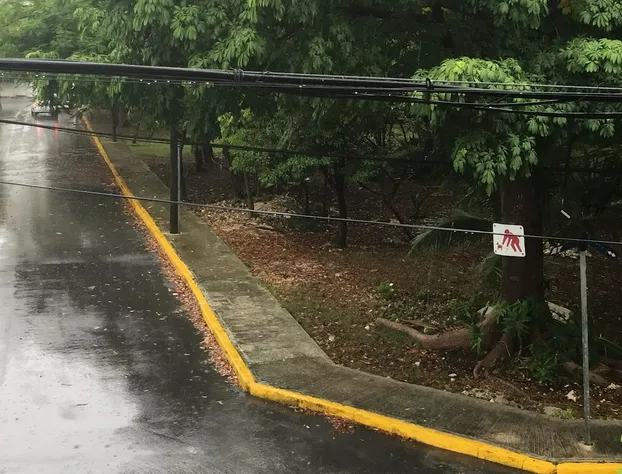 Cancún Plaza Hotel & Hostal hotel detail image 2