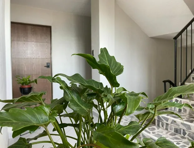 Estacion Alameda Downtown hotel detail image 1