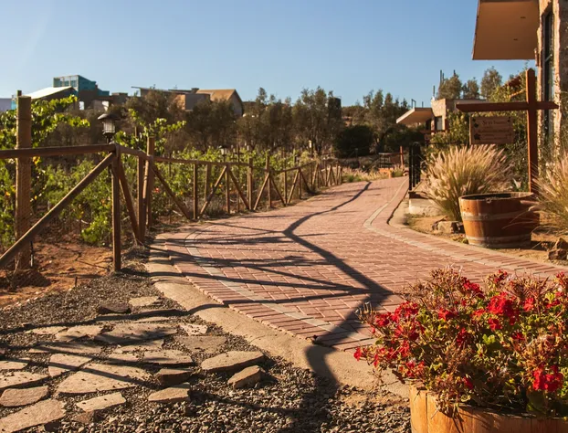 Brisa Del Valle Hotel Boutique hotel detail image 4